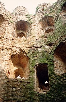 CowTowerInterior2