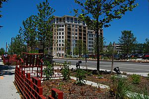 Downtown Cleveland Avenue District