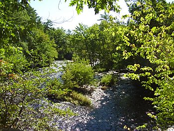 EauClaireRiver-2014-09-15.JPG