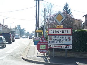 Entrée Péronnas