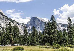 Half Dome in Yosemite Valley