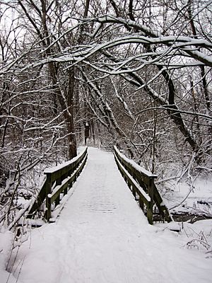 Hickory hill park bridge