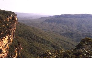 Jamison Valley Blue Mountains