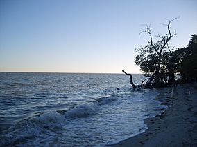 Laguna de Terminos.JPG