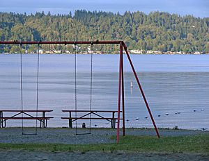 Lake Sammamish - Swing (635521538)