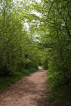 Lovers' Lane, Green Gables (3640372368)