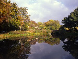 Lumsdale pond