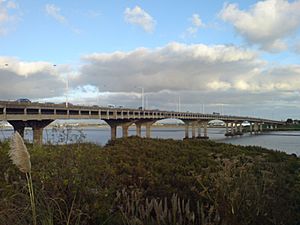 Mangere Bridge From Onehunga