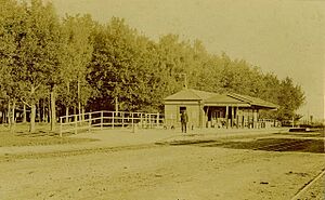 Matamata station