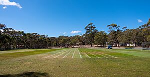 Mount Nelson Oval