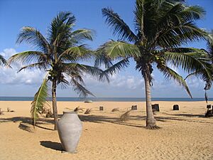 Negombo Beach, Sri Lanka