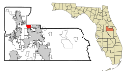 Location in Orange County and the state of Florida