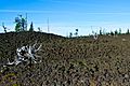 Oregon Route 242 Lava Beds