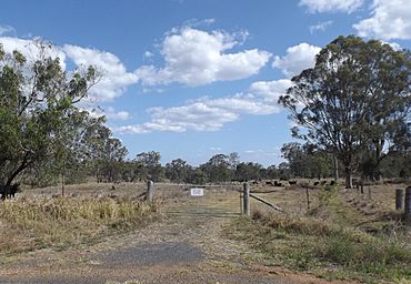 Paddock at Whichello.jpg