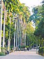 Parque Ayacucho. Cumaná, Edo. Sucre