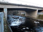 River Dodder at Springfield Avenue