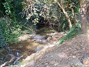 SanPabloCreek4.JPG