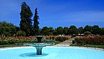 San Jose Municipal Rose Garden1.jpg