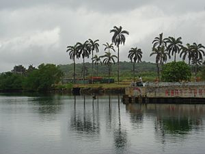 Shelter Bay Marina