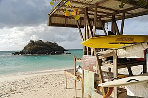 St John Trunk Bay 7