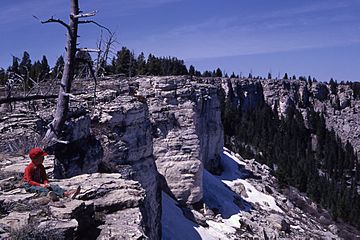 SummitofTerraceMountainYNP.jpg