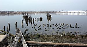 Harbortown on the Arthur Kill between the traditional waterfront and tank farm