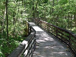 Interpretive trail at Weeks Bay