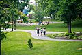 Wentworth Park Playground 4