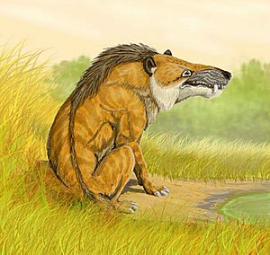 Andrewsarchus DB