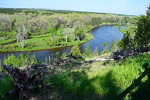 Au Sable Highbanks (26954774884)