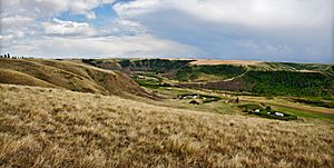 Beynon canyon,Alberta