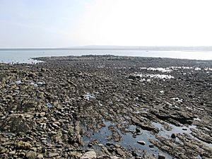 Black Middens (geograph 4201672)