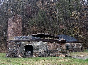 Brick kilns Nelsonville 1