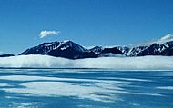 Bylot Island 1 1995-06-14