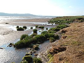 Caerlaverock SNH.jpg