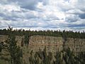 Chasm Provincial Park trees and flood basalts