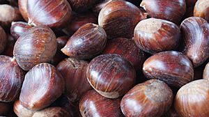 Chestnuts at Ljubljana Central Market.JPG