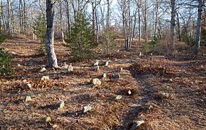 Christiantown cemetery