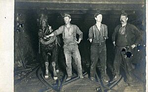 Coal miners