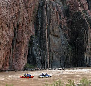 Colorado River Runners