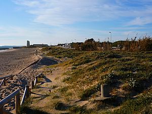 Conil12 El Palmar 075gm.jpg