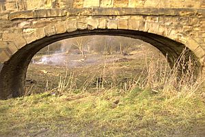 Cromford canal arm