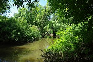 Dairy Creek Hillsboro Oregon.JPG