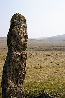 Drizzlecombe stones 6