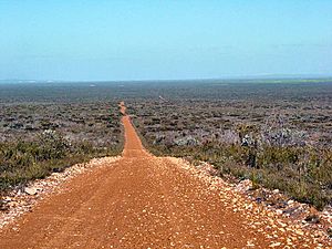 Fitzgerald River National Park DSC04436