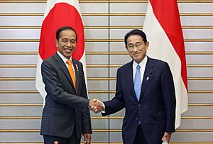 Fumio Kishida and Joko Widodo