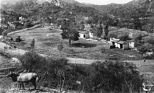 Griffith Park Zoo (B9957).jpg