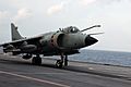 Harrier IN Malabar 07