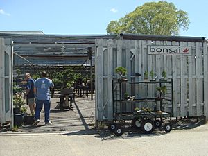 Holy Spirit Monastery Bonsai