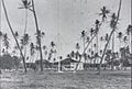 Kapiolani's Waikiki residence